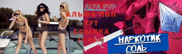 дживик Верхний Тагил