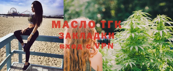 дживик Верхний Тагил