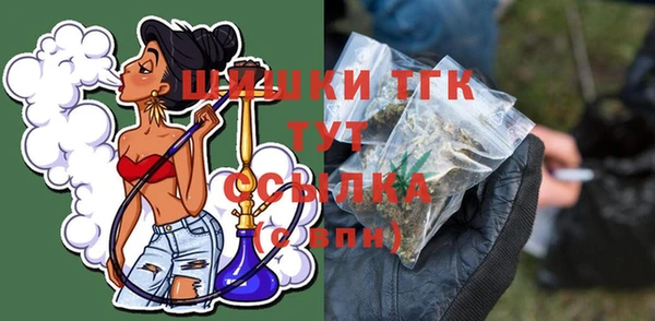 дживик Верхний Тагил